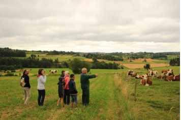 Ferme des 4 vents Anne M