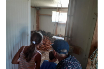 Visite de l'elevage de Christian Chandy Anne Massip