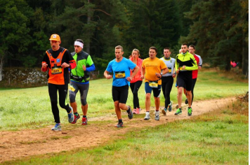 Icio Trail Tony Daurelle