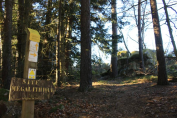  OT Loire Forez